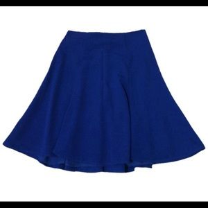 Blue Full Skirt